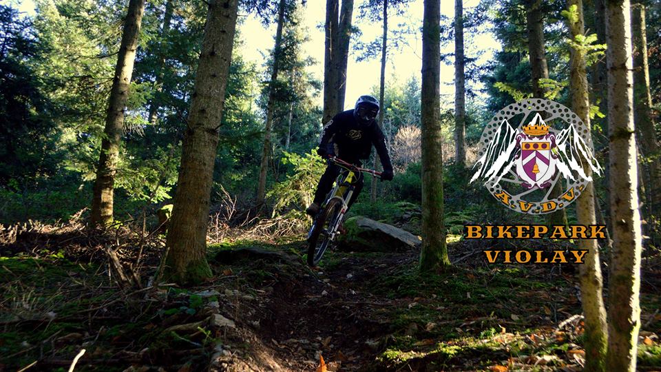 Violay-bikepark-nature-decouverte-velo-cross-loire-rhone-alpes-activite-sport-exterieur