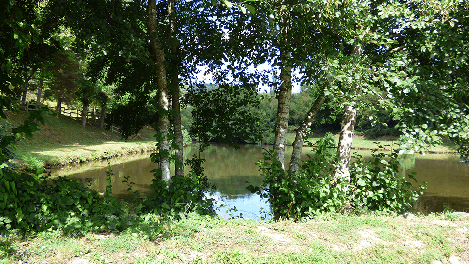 fontbonne-violay-sport-nature-randonnee-peche-roanne-station-verte-activite-exterieur-roanne-loire-rhone-alpes