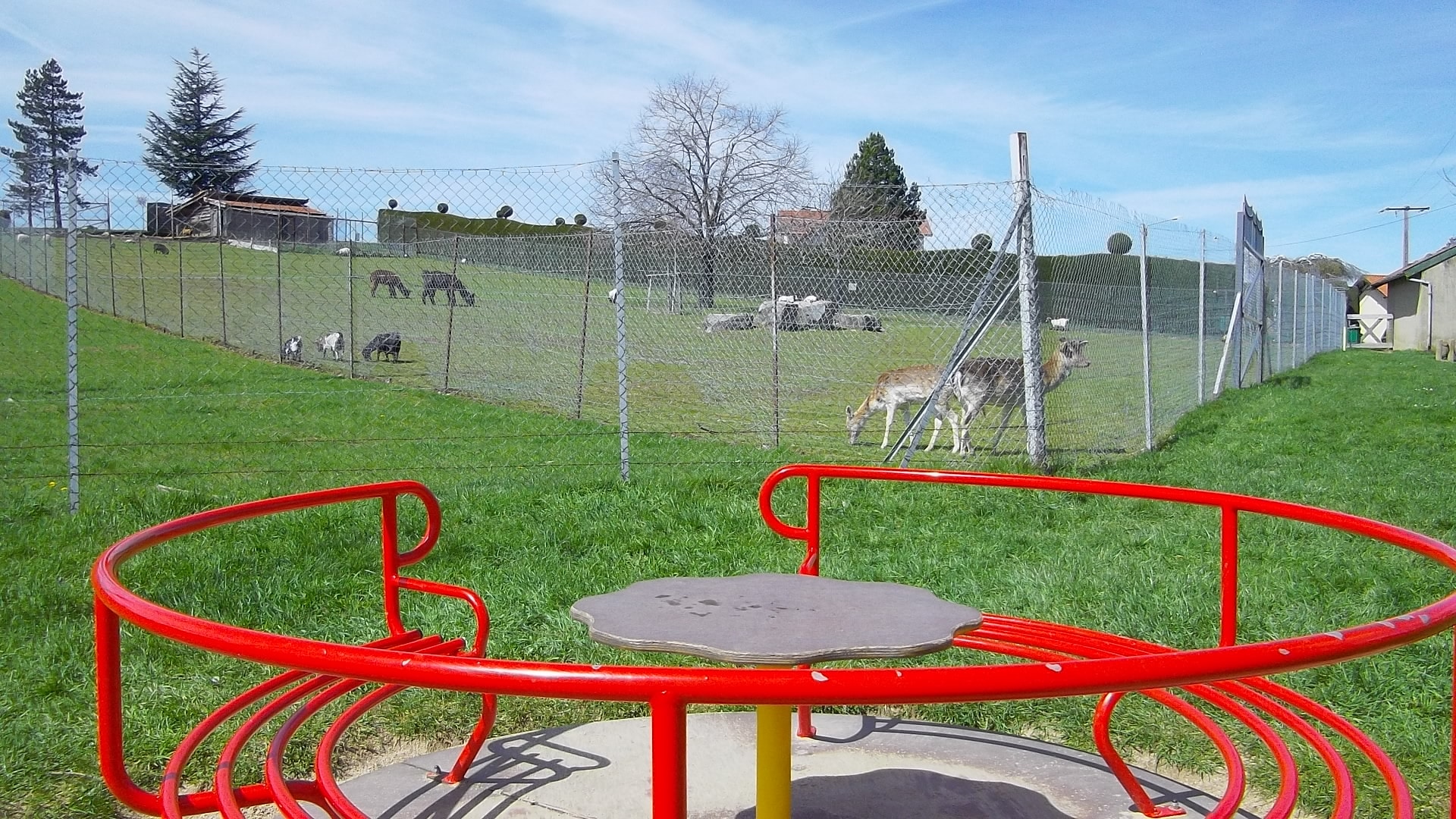 violay-parc-animalier-loire-rhone-alpes-roanne-42-activite-exterieur-loisirs